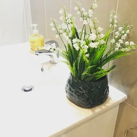 Apartament Zoo House